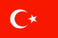 YYIC Website for Turkey